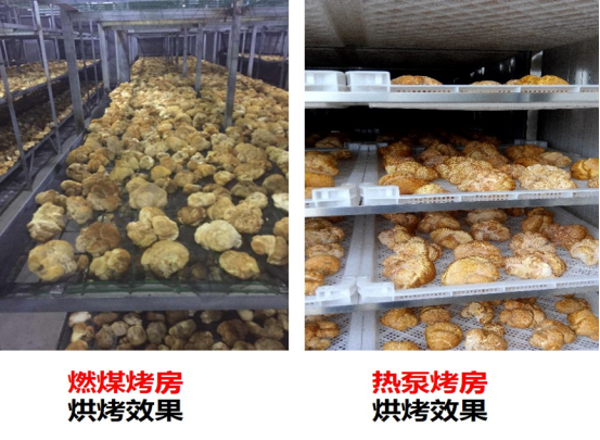 5-佰衡公司榮獲第二屆中國林業(yè)產業(yè)創(chuàng)新獎1846