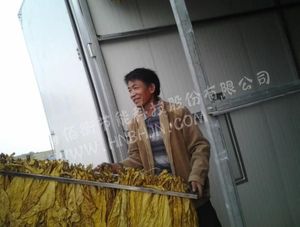 煙農(nóng)在用過佰衡熱泵烤房后臉上露出了笑容
